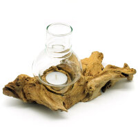 Windlicht kleines Holzst&uuml;ck Teak Wurzel hell
