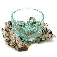 2. Wahl, Wurzel mit Glasschale wei&szlig;, &Oslash; ca....