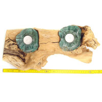 Gro&szlig;e Wurzel Teelichthalter Glas auf Holz f&uuml;r zwei Teelichter ca. 40 x 20 cm