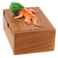 Kleine Holzschachtel Holzdose mit Echse auf Deckel