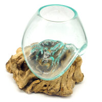 2. Wahl, Wurzel mit Glas, &Oslash; ca. 14-16 cm, Wurzel 15-20 cm lang, B-Ware