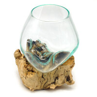 2. Wahl, Wurzel mit Glas, &Oslash; ca. 14-16 cm, Wurzel 15-20 cm lang, B-Ware