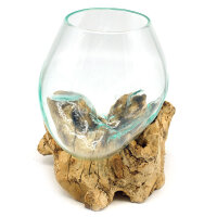 2. Wahl, Wurzel mit Glas, &Oslash; ca. 14-16 cm, Wurzel 15-20 cm lang, B-Ware