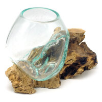 2. Wahl, Wurzel mit Glas, &Oslash; ca. 14-16 cm, Wurzel...