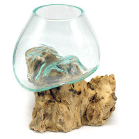 2. Wahl, Wurzel mit Glas, &Oslash; ca. 14-16 cm, Wurzel 15-20 cm lang, B-Ware