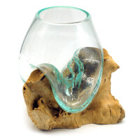 2. Wahl, Wurzel mit Glas, &Oslash; ca. 14-16 cm, Wurzel 15-20 cm lang, B-Ware