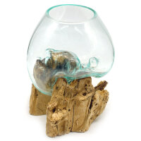 2. Wahl, Wurzel mit Glas, &Oslash; ca. 14-16 cm, Wurzel 15-20 cm lang, B-Ware