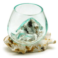 2.Wahl, Wurzel mit Glas wei&szlig;, &Oslash; ca. 11-12 cm, 2. Wahl, B-Ware