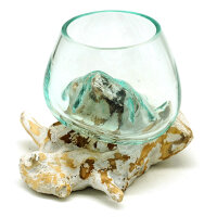 2.Wahl, Wurzel mit Glas wei&szlig;, &Oslash; ca. 11-12 cm, 2. Wahl, B-Ware