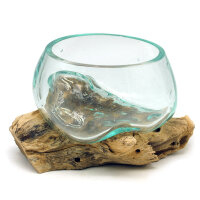 2. Wahl, Wurzel mit Glasschale, &Oslash; ca. 11-12 cm,...