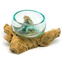 2. Wahl, Wurzel mit Glasschale, &Oslash; ca. 11-12 cm, B-Ware