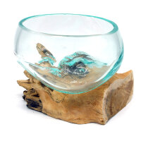 2. Wahl, Wurzel mit Glasschale, &Oslash; ca. 11-12 cm, B-Ware