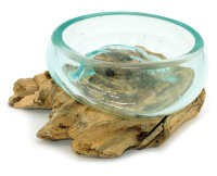 2. Wahl, Wurzel mit Glasschale, &Oslash; ca. 11-12 cm, B-Ware