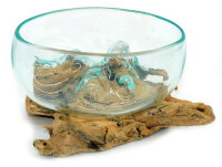 2. Wahl, Wurzel mit Glasschale, &Oslash; ca. 11-12 cm, B-Ware